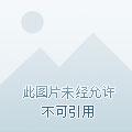 枭雄本色 枭雄本色