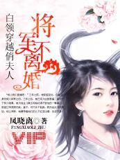 白领穿越俏夫人:将军不离婚 白领穿越俏夫人:将军不离婚
