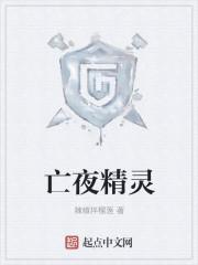 亡夜精灵 亡夜精灵