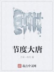 节度大唐 节度大唐