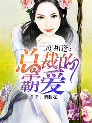 二度相逢:总裁的霸爱 二度相逢:总裁的霸爱